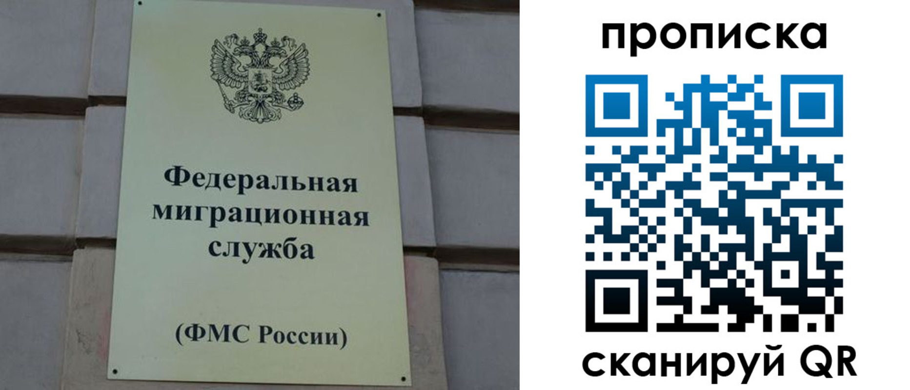 прописка поиск в Балтийске